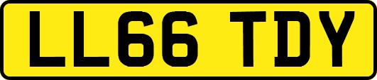 LL66TDY
