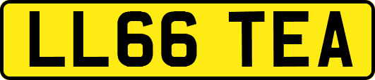 LL66TEA