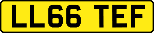 LL66TEF