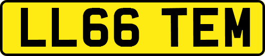 LL66TEM