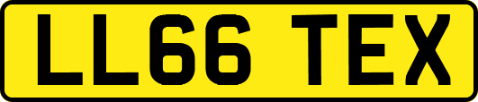 LL66TEX
