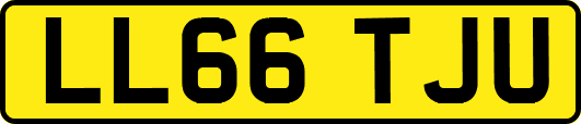 LL66TJU