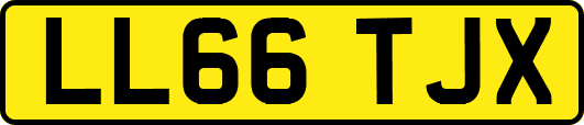 LL66TJX