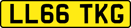 LL66TKG