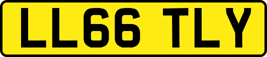 LL66TLY