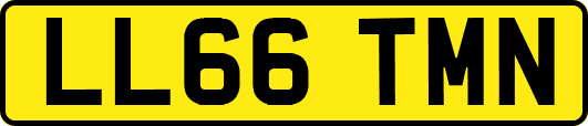LL66TMN