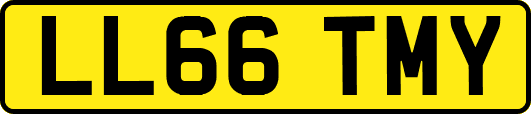 LL66TMY