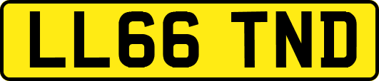 LL66TND