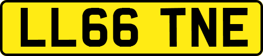 LL66TNE
