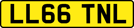 LL66TNL