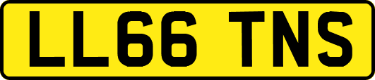 LL66TNS