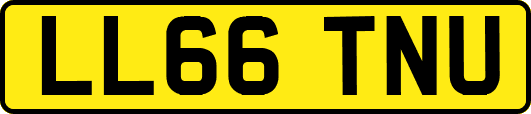 LL66TNU