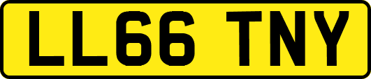 LL66TNY
