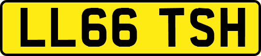 LL66TSH