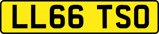 LL66TSO
