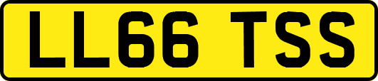 LL66TSS