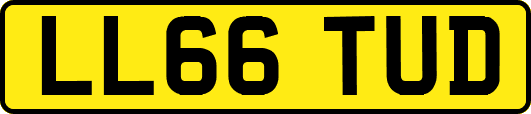 LL66TUD