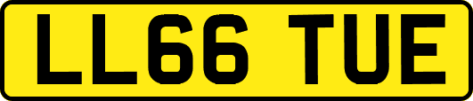 LL66TUE