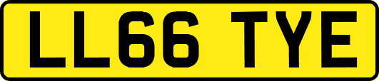 LL66TYE