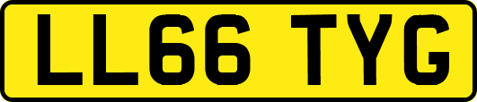 LL66TYG
