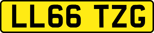 LL66TZG