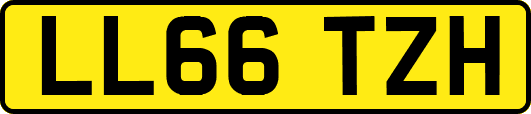 LL66TZH