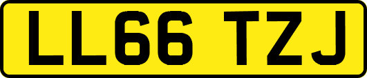 LL66TZJ