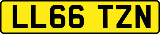 LL66TZN