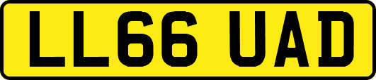 LL66UAD