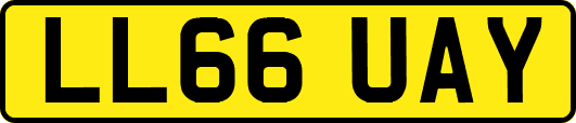 LL66UAY