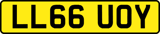 LL66UOY