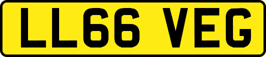 LL66VEG