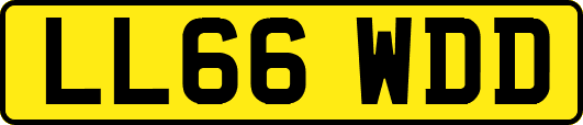 LL66WDD