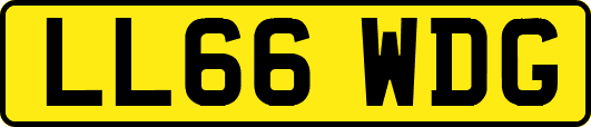 LL66WDG
