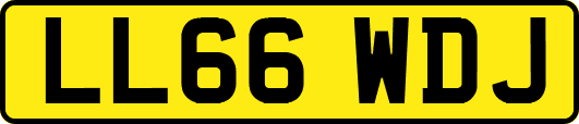 LL66WDJ