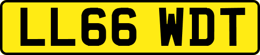LL66WDT