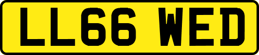 LL66WED