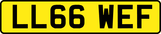 LL66WEF