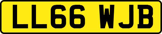 LL66WJB