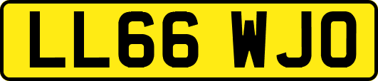 LL66WJO