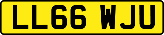 LL66WJU