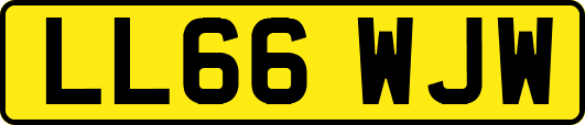 LL66WJW