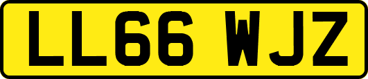 LL66WJZ