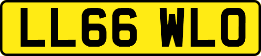 LL66WLO