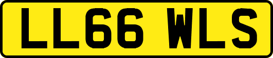 LL66WLS