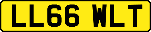 LL66WLT