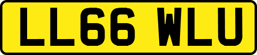 LL66WLU