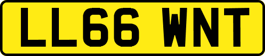LL66WNT