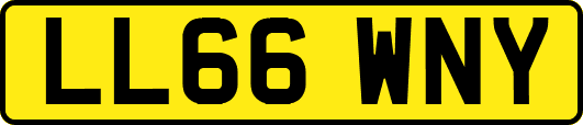 LL66WNY