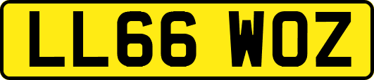 LL66WOZ